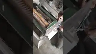 Mango Juice Machine/Mango Pulp Making Machine/ Mango