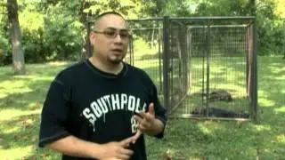 Animal Witness CA