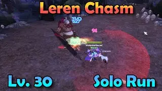 Leren Chasm Solo Run Level 30 Mercenary + Pet Cage Opening