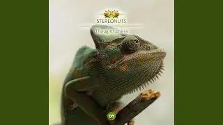 Thoughtfulness
