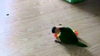 MOV00800