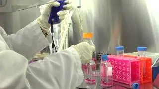Cell Culture Basics 15: Adding cells to a cell culture flask