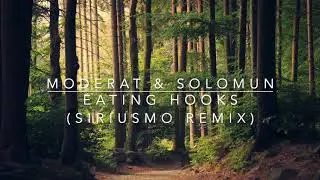 Moderat & Solomun - Eating Hooks (Siriusmo Remix)