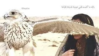 محمد حمود الحارثي - لا واخذ الله أجفانك - الكلمات في الوصف 
