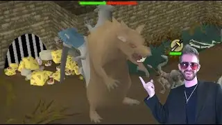 Scurrius Quick & Basic Guide. Scurrius for the Befuddled. OSRS
