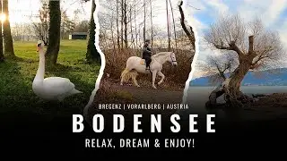 Faszination Bodensee | Relax, Dream & Enjoy! | Bregenz - Vorarlberg - Austria | 4K