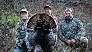 Thunderstorm Turkey Hunts are Incredible! (Roost Hunt)