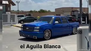 El aguila blanca - los tucanes de tijuana (truck edith)(tacuache menon) 