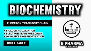 Electron Transport Chain | Oxidative Phosphorylation | Biological Oxidation | Biochemistry | B Pharm