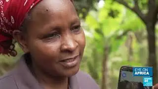 Technology is providing village farming extension services in Kenya, through AGRA & Microsoft.