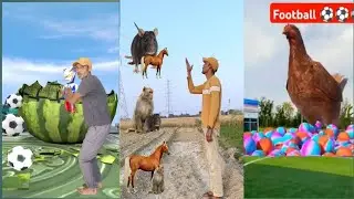 Balloon to grapes, mango, lichi & watermelon-fruits names magic video