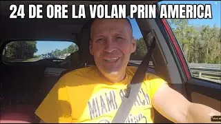 Am inceput noul an printre palmieri,departe de iarna grea de la Chicago!!