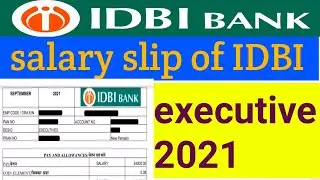 IDBI Bank executive salary slip/salary slip of IDBI Bank executive/pay slip of IDBI Bank executive