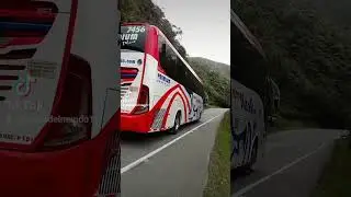 #bus expres&oacute; brasilia 💙&hearts;️🤪🤙🇨🇴🇨🇴💯💯 belleza