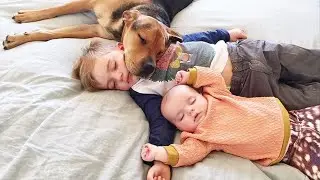 Cats-dogs  and babies are best friend 🙈  #dogsandbabies #बिल्ली #कुत्ता