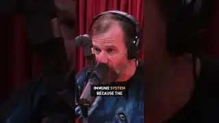 Can You Control Your Immune System? Mind-Blowing Experiment | Ep. #712 @joerogan