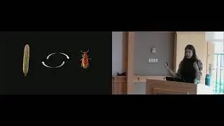 AA Research Talks Live:  Wendy Valencia-Montoya