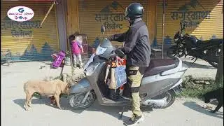 Pawsitive Lovers Group Daily Feeding Camp During Lockdown