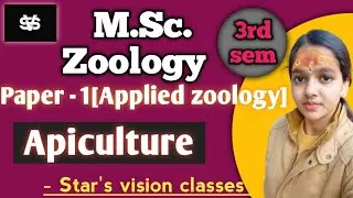Apis species/Social life of honey bee/msc zoology/applied zoology/star's vision classes 