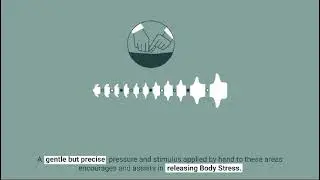 BSR explained: How Body Stress Release helps unlock built up tension in the body
