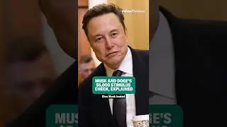 Musk and DOGE&rsquo;s $5,000 stimulus check, explained.
