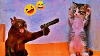 Best Funny Animals 2026🐶Funniest Dogs and Cats😻🐶