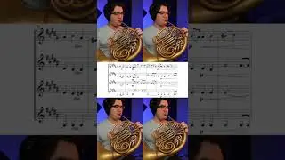 I used to not enjoy performing this excerpt, but now it's my favorite one.