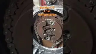 Barako175 Loss compression!
