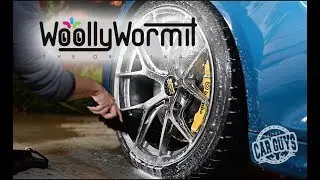 WoollyWormIt: Game changing brush that replaced ALL our wheel detailing tools.