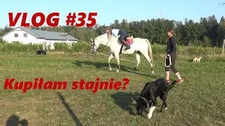 VLOG #35 |  Kupiłam stajnie?