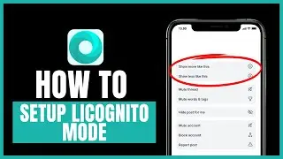 how to set up incognito mode on mint browser