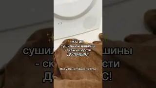 Сушильная машина &mdash; спасение от шерсти
