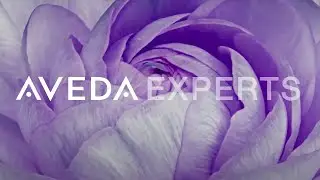 Серия Aveda Expert: Прорыв в науке о фолликулах | Invati Ultra Advanced | Aveda