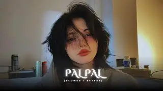 Pal Pal (Slowed + Reverb) Reply Version | Female