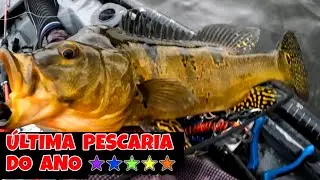 MUITO TUCUNARÉ NA ÚLTIMA PESCARIA DO ANO!!! ESSA ISCA VEIO PRA FICAR
