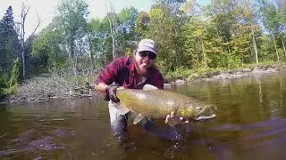 The Garden River Experience September 2017