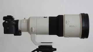 Sony A7 II with 500mm F4 lens