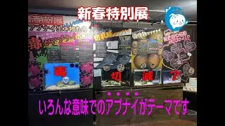 【お魚関係】いろんな意味でのアブナイが詰まってます！！（伊勢シーパラダイス／水族館）