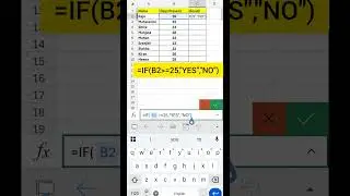 YES / NO Logic in Excel | IF Formula Telugu