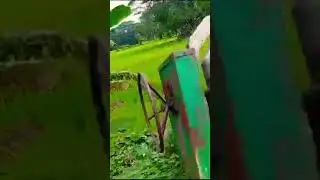 #toofanreaction