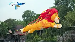 Disney Kite Tails Show Highlights at Disney's Animal Kingdom Park, Walt Disney World (From Disney)