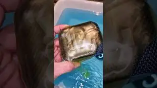 Soapy JBL Go 4 Blue Bass Test 😯