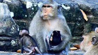 Poor mom DeeDee hug her newborn feeling deep worry Amber try chase them | Pity Amari not peaceful