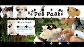 Best prices for pet supplies