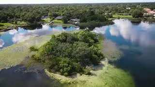 Backyard Drone Quickie