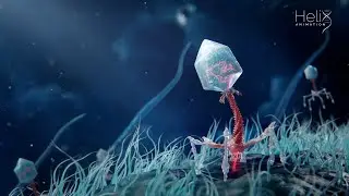 Bacteriophages in Action
