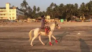 #Murud Beach (मुरुड बीच) | #Kashid Beach | #Alibaug Beach | Coastal Ride | MAHARASHTRA TOURISM