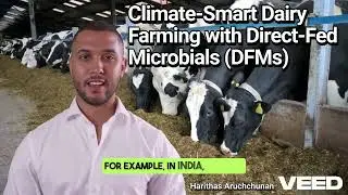 Climate Smart Dairy Farming with Direct Fed MicrobialsDFMs