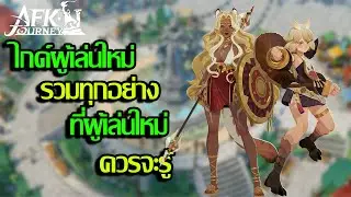 AFK Journey : ไกด์มือใหม่ รวมทุกอย่างที่ควรจะรู้สำหรับคนที่เพิ่งเริ่มเล่น