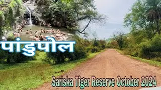 Sariska Tiger Reserve Alwar Rajasthan || पांडुपोल हनुमान जी मंदिर || How To Reach Sariska Alwar